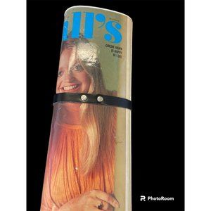 Vintage plastic frame magazine cover clutch purse – Goldie Hawn - 1976